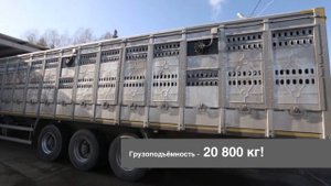 Обзор полуприцепа скотовоза Тонар - 9887 | МИРавтотехники