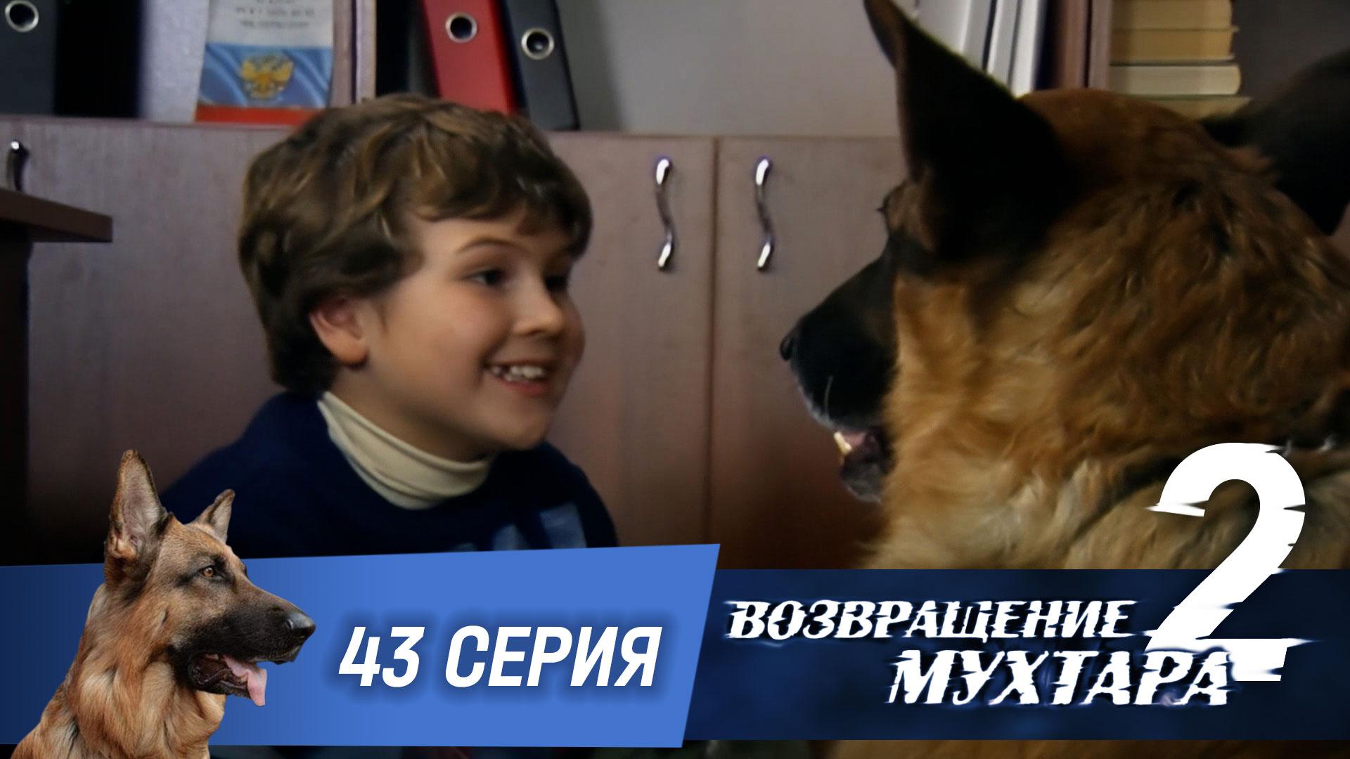 Возвращение Мухтара  2. 43 серия. Страшная порча