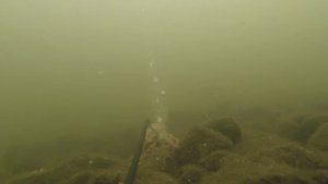 шипучие таблетки для рыбалки в действии , тест на карасях, подводное видео