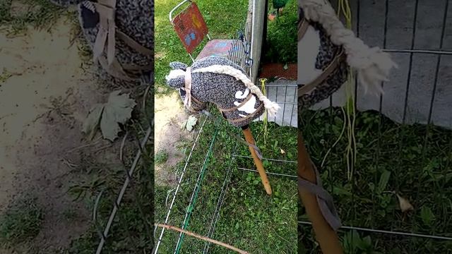 Обзор на мою хоббихорсинг конюшню (Хоббихорсинг-клуб) смотреть онлайн