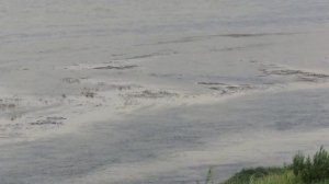 Притомкий, набережна, джд и оз. Красное. Кемерово