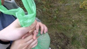 Охота на куропаток или как мы прикармливали куропаток