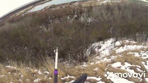 Охота с гончей по зайцу руссак у.