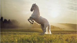 A wonderful Melody-Duduk, saxaphone and flute, Мелодия для души, дудук, саксофон и флейта.