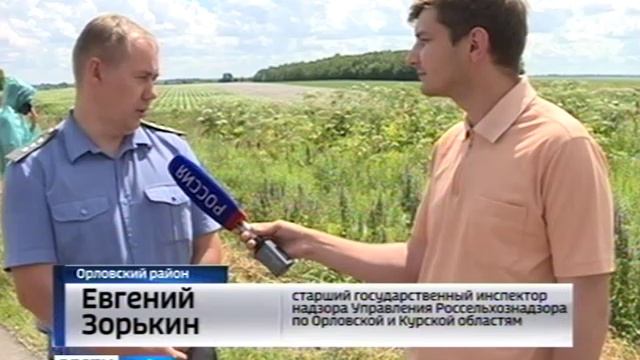 Внимание: борщевик! смотреть онлайн