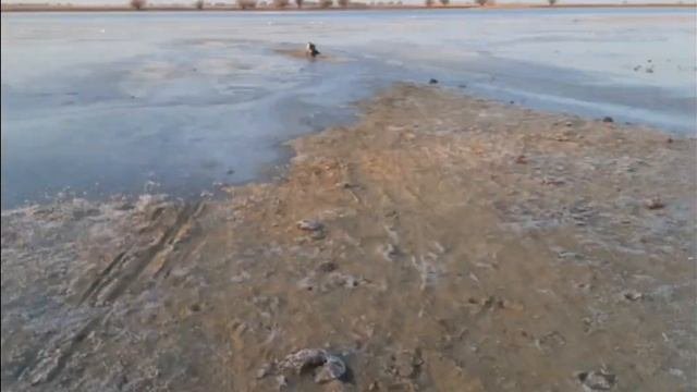 24 декабря лед. река Кигач.