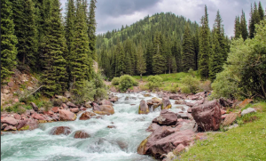 Звуки природы. Расслабляющие звуки реки звучит белым шумом ✦ Relax