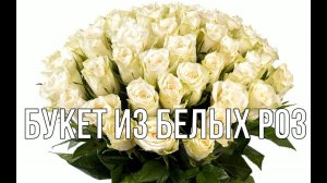 "Букет из белых роз" - В.Королёв, И.Круг (кавер,баян)