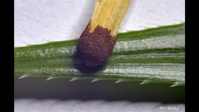 Реверсивный адаптер для Никона или перевертыш. | #Обзор смотреть онлайн