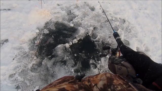 Поимка форели на раттлин на Царской рыбалке