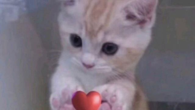 anna asti - повело speed up смотреть онлайн