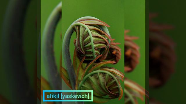 ПЕСНИ|4ЧАСТЬ|НЕБО ГОЛУБОЕ