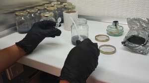 Посев семян орхидей на питательную среду