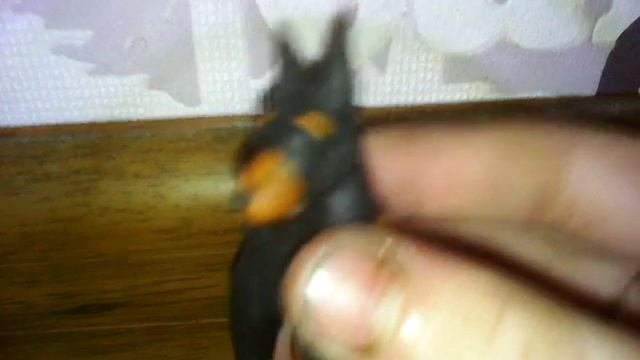 Доберман из пластилина и новость