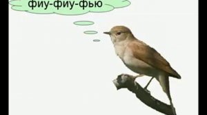 Презентация для детей Как говорят животные