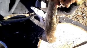 рыбалка.разделка рыбы топором.