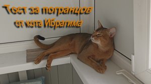 Тост за пограничников от кота Ибрагима