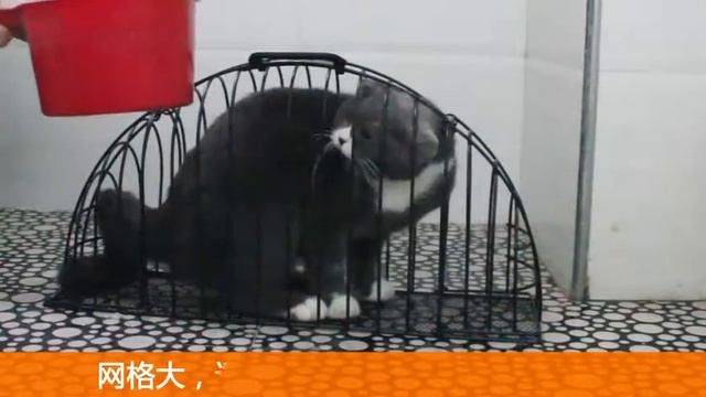 котомойка смотреть онлайн