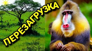 Как я регулярно провожу очищение души и мозга, моя перезагрузка. № 635