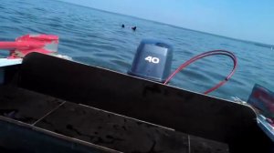 YAMAHA 40 VEOS