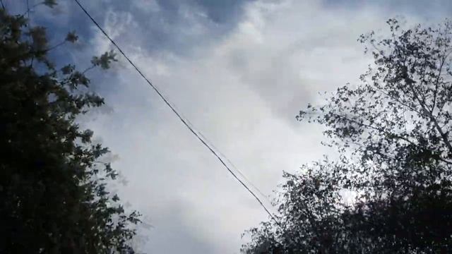 ПРИРОДА ДАЧИ. Ку-бис тв СПЕЦ-ВЫПУСК. смотреть онлайн