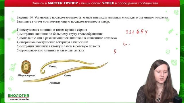 НОВЫЙ ВАРИАНТ ЕГЭ ПО БИОЛОГИИ 2022 смотреть онлайн