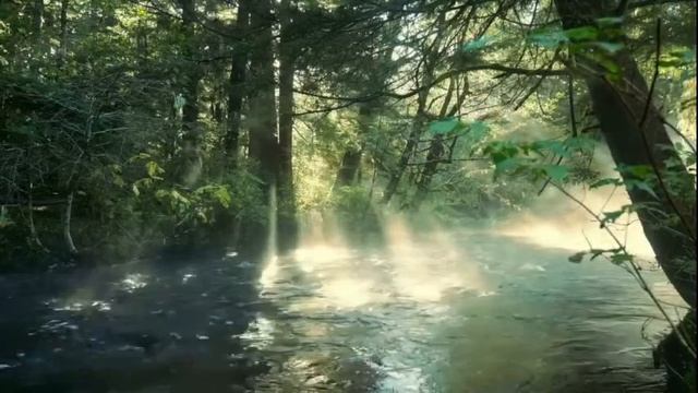 Музыка для расслабления, медитации, сна. Эта музыка идеально подходит для борьбы с тревогой, стре смотреть онлайн