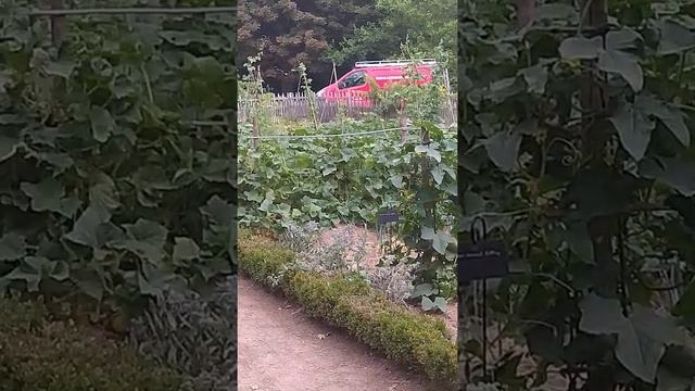 Малый трианон Версаль. Франция. Petit Trianon Versailles.  France.