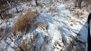 ГАЗ 66. Куда приехал там и дом. Выезд на охоту.