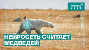 Нейросеть считает медведей | Перепись белых медведей