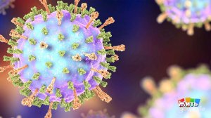 Чем еще опасны вирусы? Жить здорово! Фрагмент выпуска от 07.05.2020