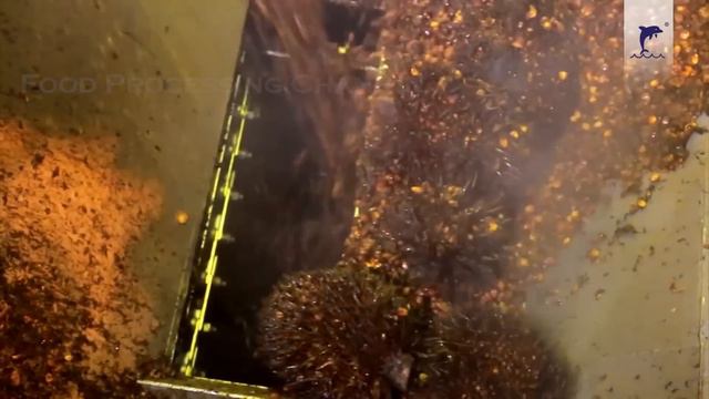 Palm Oil Making Process | Modern Oil Palm Harvesting Process | How Palm Oil Is Made In Factory