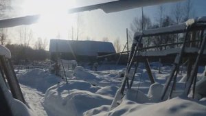 быт охотника.  капканы на лису и норку