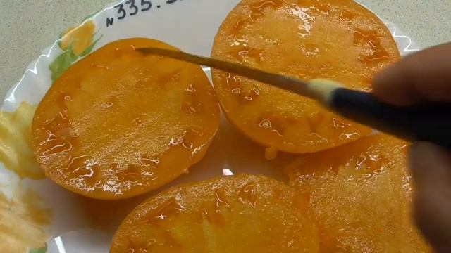 Томат Завтрак Келлога(Kellog's Breakfast, США). Как выглядит рассада и спелые плоды. смотреть онлайн