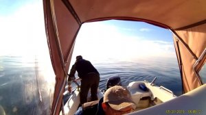 Троллинг Симы Японское море