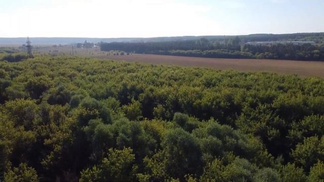 ВЫХОДНЫЕ на ДОНУ | Путешествие на байдарках Таймень2 | ПРОДОЛЖАЕМ СПЛАВ |Вторая ночь и Третий день смотреть онлайн