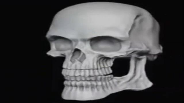 Череп крутится и улыбается в конце – Шаблон для мемов смотреть онлайн