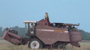 комбайн полесье gs 10 убирает Канолу