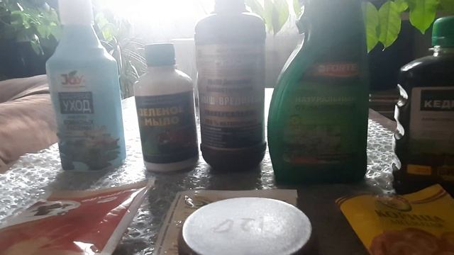 Зелёная аптека цветочницы: вредители растений и борьба с ними. смотреть онлайн