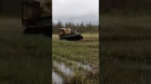 Вездеходы Черепаха ?. буйвол ? на болоте!                            видео от заказчика