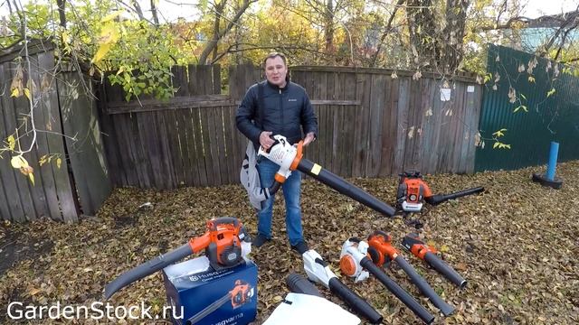 Как выбрать садовый пылесос воздуходувку??? Что за зверь? Воздуходув? Шишки, иголки, листва в саду?