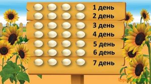 Мультиурок про таблицу умножения на 4. Ферма