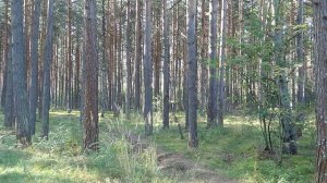 Ю Визбор Люди идут по свету Песни нашего века