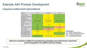 Overcoming Challenges in AAV and LV Viral Vector Manufacturing