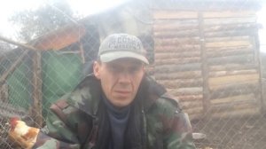 Соц контракт во Владимирской области