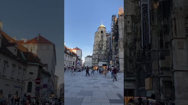 Beautiful #stephansdom #austria #vienna #shorts #tour