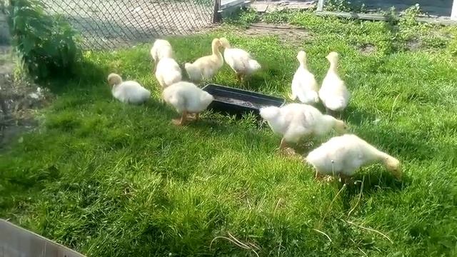 Немного позитива))))
