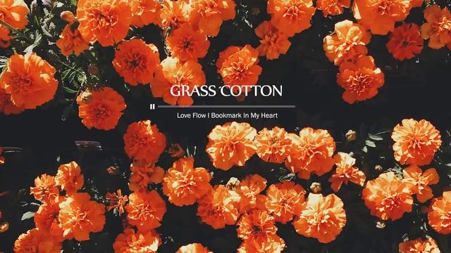 Красивая фортепианная музыка. Инструментальная нежная, успокаивающая музыка для детей и взрослых. смотреть онлайн