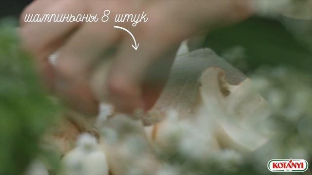 Свинина с грибами с приправой для свинины смотреть онлайн