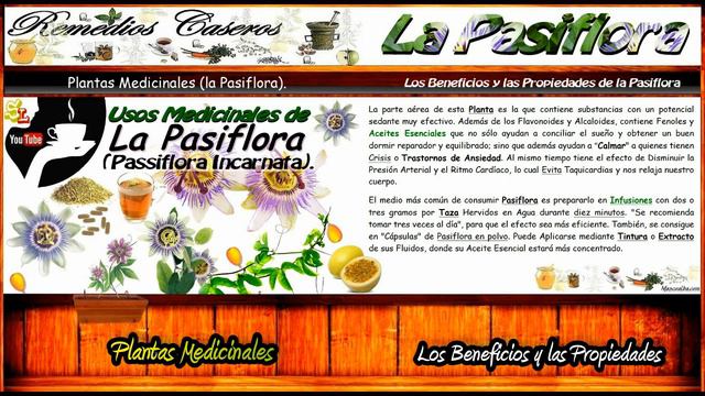 Beneficios de la Pasiflora, Remedio Casero para Dormir, la Ansiedad el Nerviosismo y el Insomnio